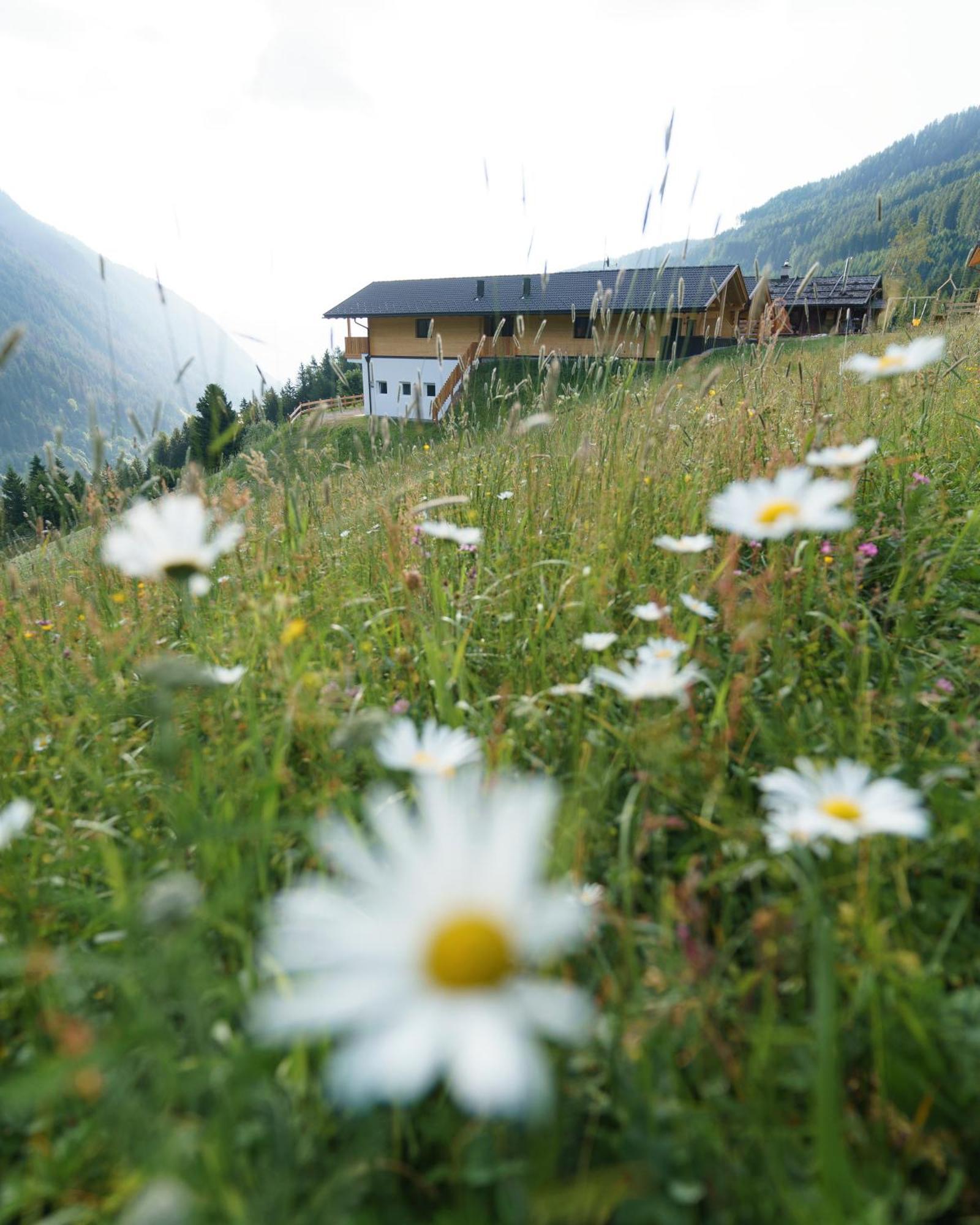 Blosegghof Bergchalets Waldblick Ratschings Exterior foto